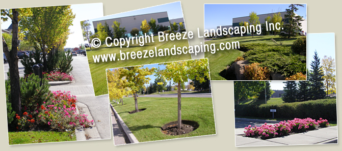 Landscaping Photos