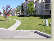 Landscaping Photos