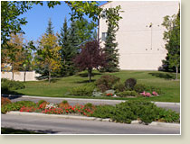 Landscaping Photos