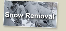 Snow Removal